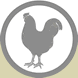 Chicken Products
