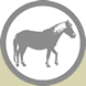 Horse Products