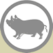 Pig Products